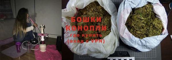 дмт Арсеньев