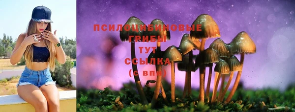 дмт Арсеньев