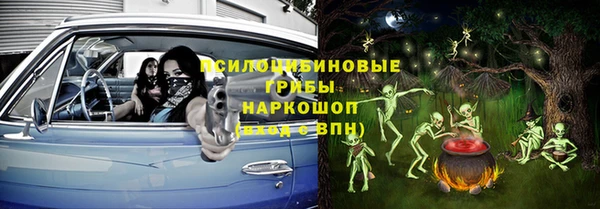 дмт Арсеньев