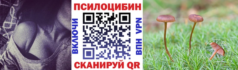 ссылка на мегу ТОР продажа наркотиков Сортавала Псилоцибиновые грибы ЛСД